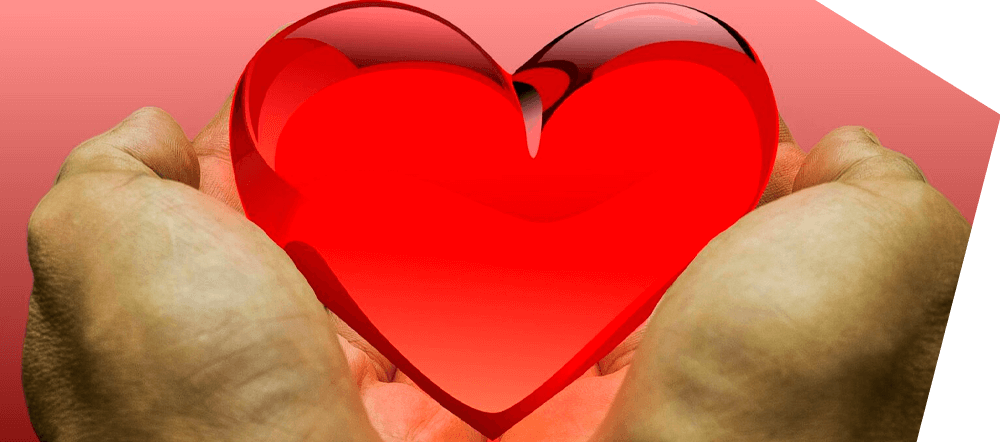 non-profit We have a broad range of experience in providing IT services and solutions to non-profit organizations